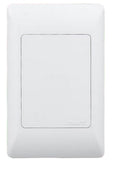 Noble Pays 4x2 Blank Cover Plate